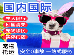 攀枝花保安营机场快递国际宠物托运 【国
